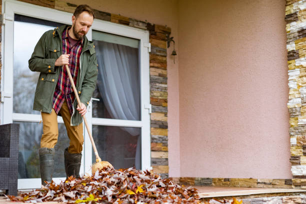 Best Basement Cleanout Services  in Wiggins, MS